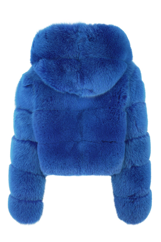 Blue Electric Fox Jacket